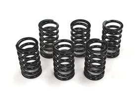 Clutch Springs KLR650 all years
