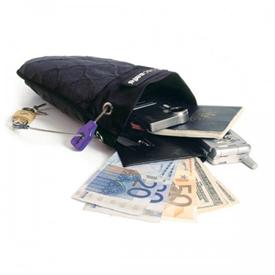 TravelSafe 100 - Secure Portable Safe (by PacSafe)