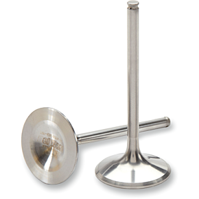 Exhaust Valve DW-CRF250R-EV04