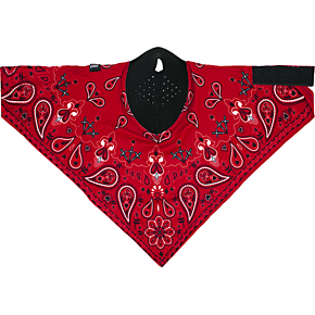 Neodanna® SportFlex® Face Mask - Red Paisley NEOL106