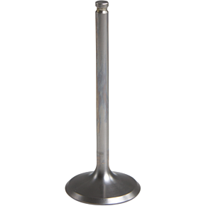 Exhaust Valve 80-80666