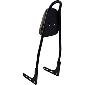 One-Piece Sissy Bar - Black - With Pad 156T-18-MB-WP