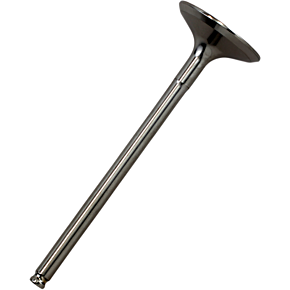 Exhaust Valve - Kawasaki 40-40143T