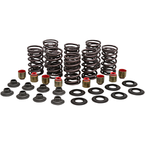 Valve Spring Kit 82-83450