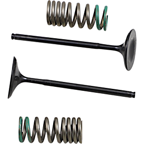 Prox Intake Valve and Spring Kit 28.SIS1340-2