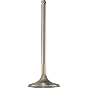 Intake Valve 80-80214H