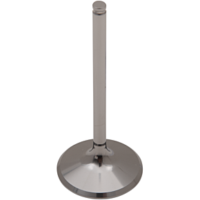 Intake Valve DW-TRX450R1IV05