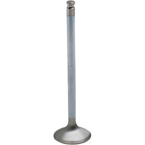 Intake Valve 80-80213H