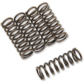 Clutch Spring Set 501-48-05129