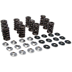 Valve Spring Kit 80-81300