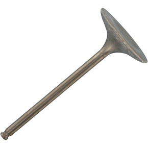 Intake Valve GG-1022-IN