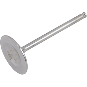 Intake Valve DWLTR4502IV11HF
