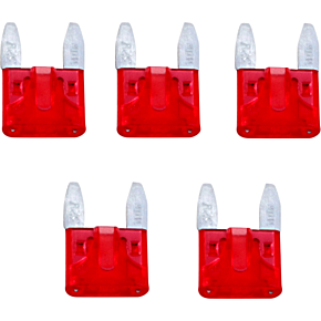 10-amp Mini Fuse 5-pack