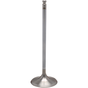 Exhaust Valve 60-60273H