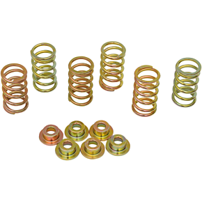 Clutch Spring Kit 505-57-06007