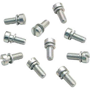 Acceleration Pump Cap Screw - 10-Pack 50-0098