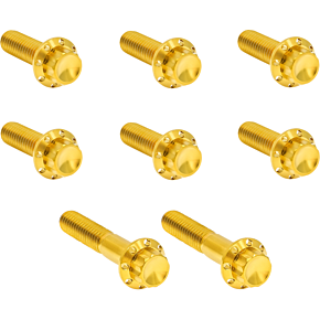 Bolt Kit - Trap Door - Titanium - 12-Point - Twin Cam/6-Speed - Gold 300-714