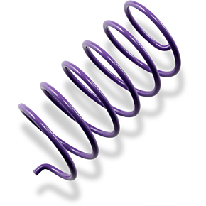 Epi Secondary Spring - Purple PDS-6