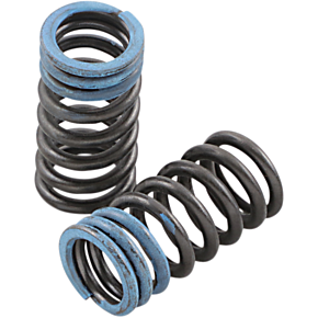Intake Valve Springs PSIMX1905