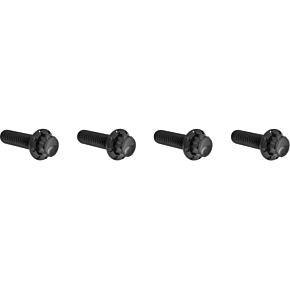 Bolt Kit - Transmission Top Cover - 12-Point - Titanium - Black 300-978