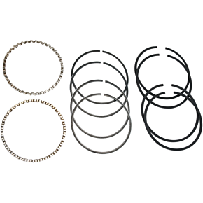 Pist Rings 1200cc Shovel Cast .020" Oversize