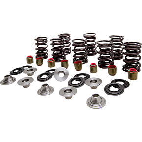 Valve Spring Kit 82-83400