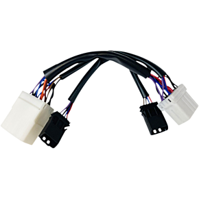 Custom Dynamics Adapter - Dual Color Plasma Rods PR-MPRSEQ-HD