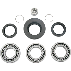 Moose Racing Rear Differential Bearing and Seal Kit - Honda