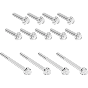 Bolt Kit - Primary Cover - Titanium - 12-Point - Twin Cam - Polished 300-989
