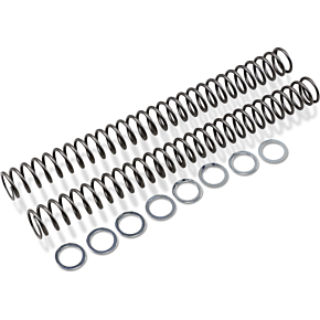 Race Tech Fork Springs - 0.48 kg/mm