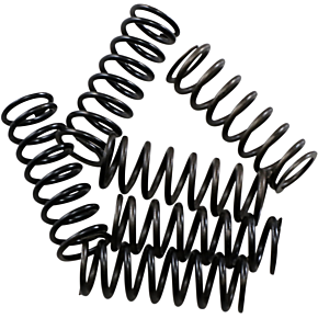 Hinson Racing Clutch Spring Kit CS189-6-0613