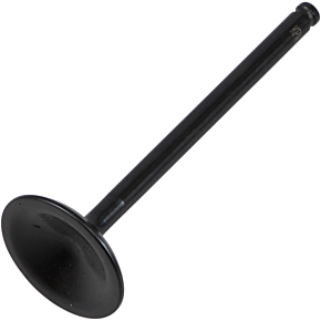 Exhaust Valve 80-80876