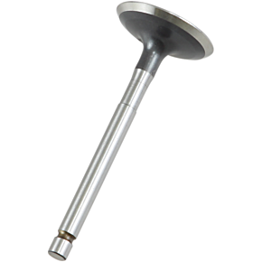 Intake Valve 28.2200-2