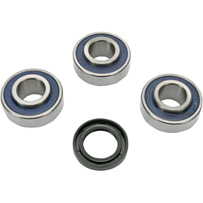Wheel Bearing and Seals - FL A25-1366