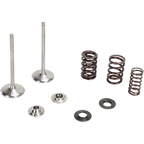 Intake Valve Kit 80-80970