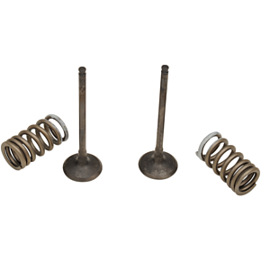 Valve and Spring Kit 28.SES3338-1