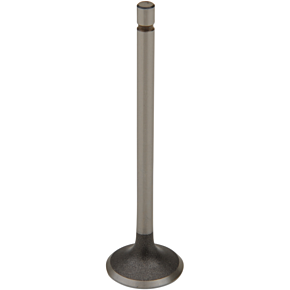 Exhaust Valve 28.1381-1