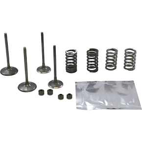 Valve Kit SVKB1404
