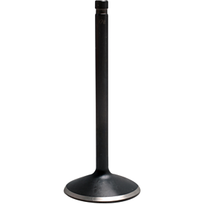 Kibblewhite Intake Valve 20-20910