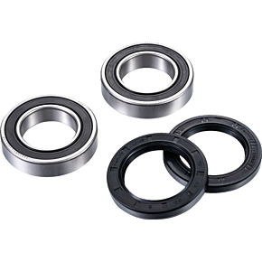 Axle Bearing Kit - Rear ARA-Y-011