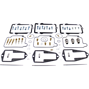 Carburetor Rebuild Kit 1003-1960