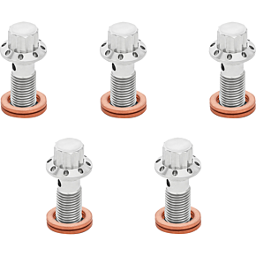 Banjo Bolt 5-Pack - M10x1.25 - Polished 300-860