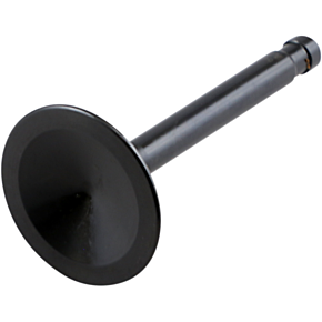 Exhaust Valve - Big Twin 20-4195-1