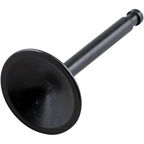 Exhaust Valve - XL 20-4168