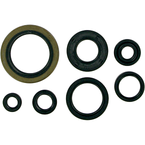 Moose Racing Motor Seals RM250