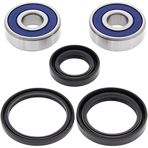 ALL BALLS Wheel Bearing - Kit - 25-1307