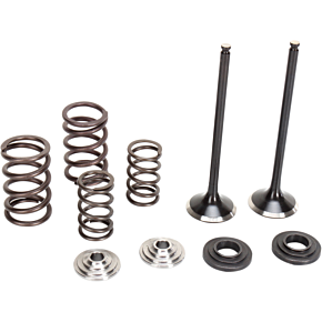 Moose Racing Valve and Spring Kit - 0926-2468