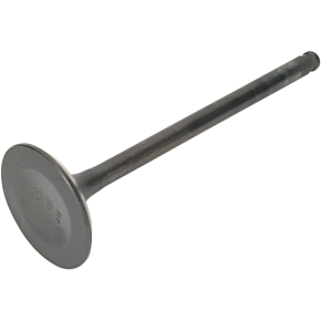 Exhaust Valve 28.2418-1
