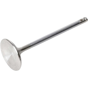 Exhaust Valve 80-8057H