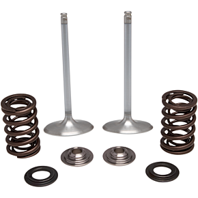 Intake Valve Kit 40-41450